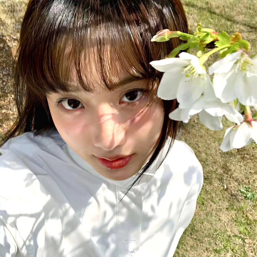 鲨鱼海豚浴血战